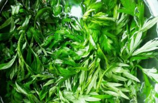 清明時(shí)節(jié)粄飄香，蘄艾青青藥食同源
